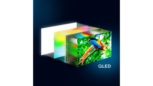 4K QLED for vibrant viewing and quantum dot colour quality